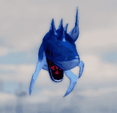 Shark Contract