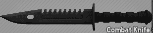 Combat Knife
